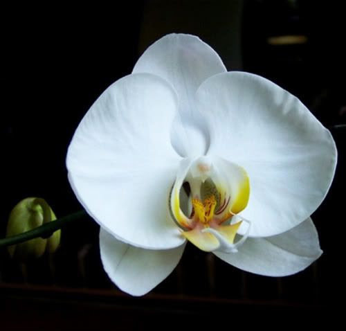 Scott Bulger Photography Blog