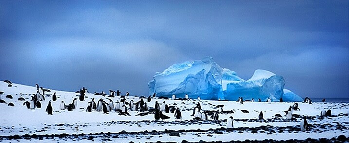 Penguins and iceberg in Antarctica.