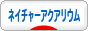 にほんブログ村 観賞魚ブログ ネイチャーアクアリウムへ