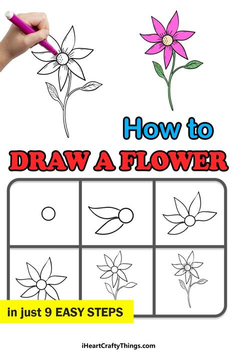 draw  flower  step  step guide   flower drawing