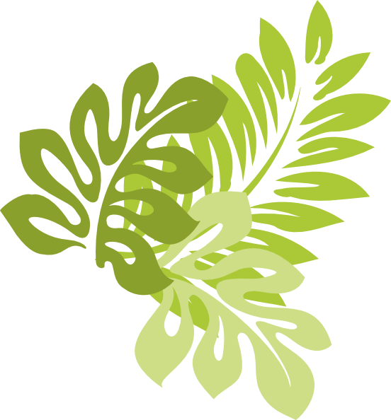 Download Jungle Leaves Vector at GetDrawings | Free download