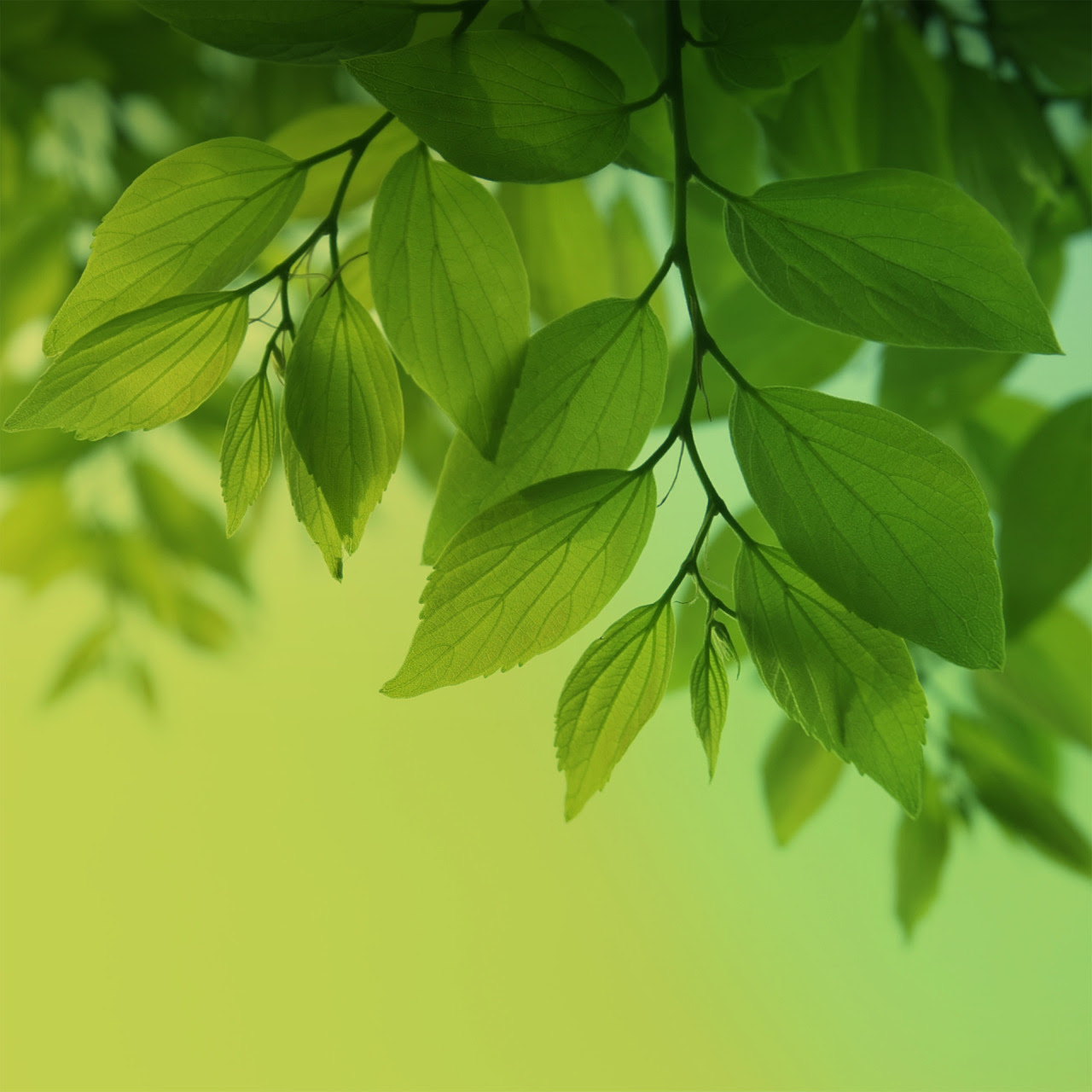 http://25.media.tumblr.com/ae0b275c9592c799758efce38413b258/tumblr_mkbim6cESN1qd66boo1_1280.jpg