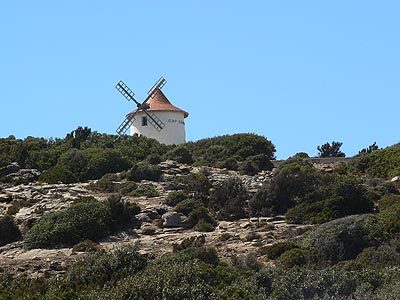 moulin mattei.jpg