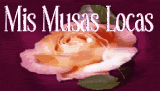  Mis Musas Locas