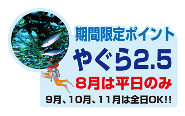 初島ログ