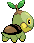 Turtwig