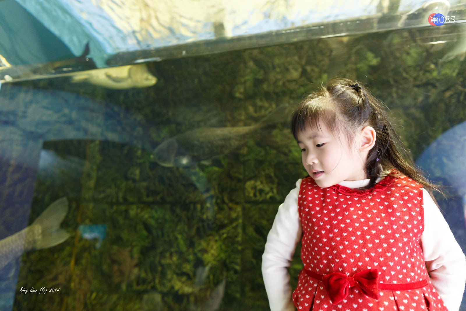 WATER_BING2961_LR