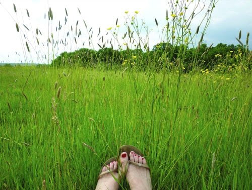 beckenham place park field