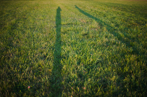 we are giants