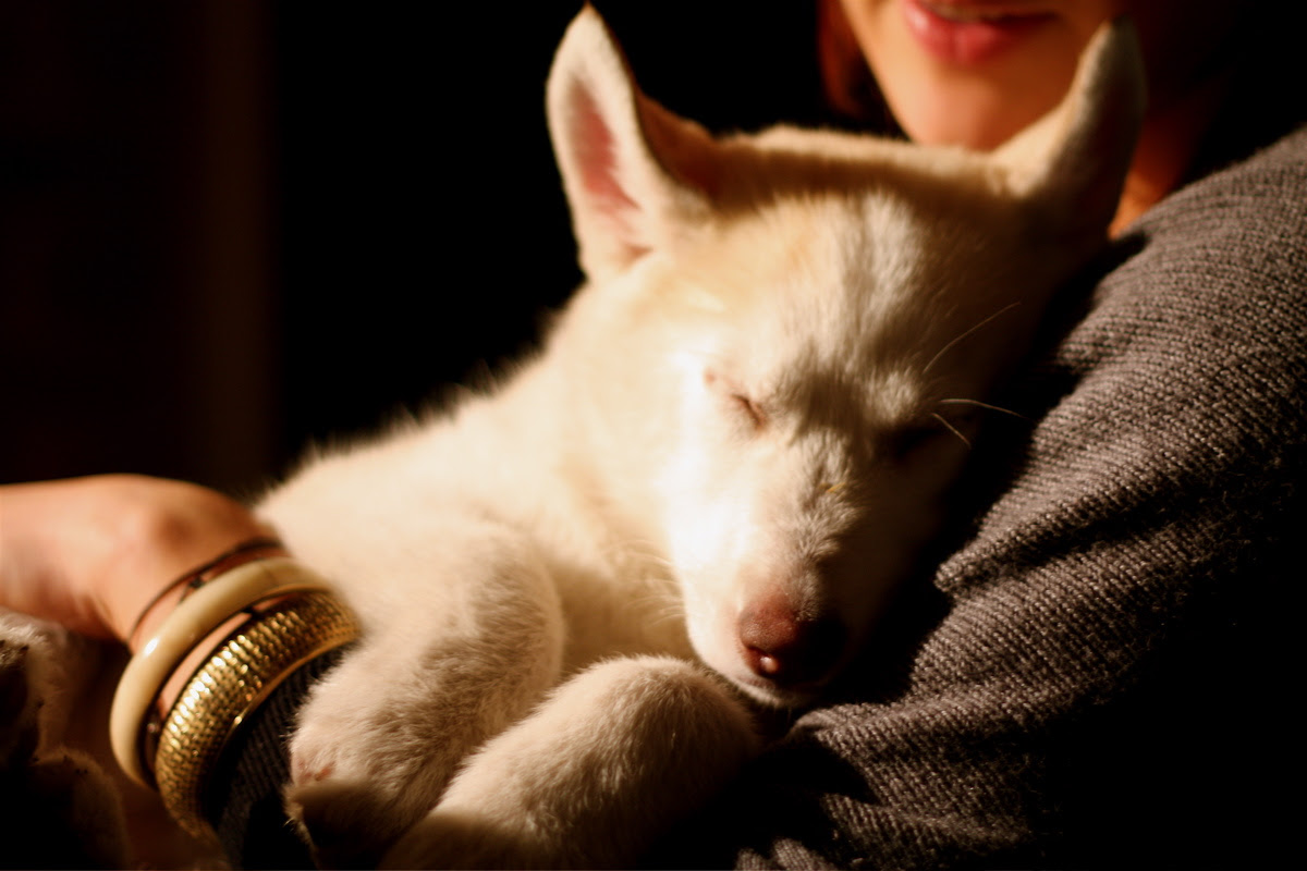 Suki Sleeping