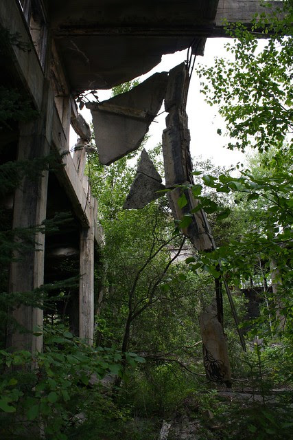 Looking up, the state of collapse is suddenly alarming.