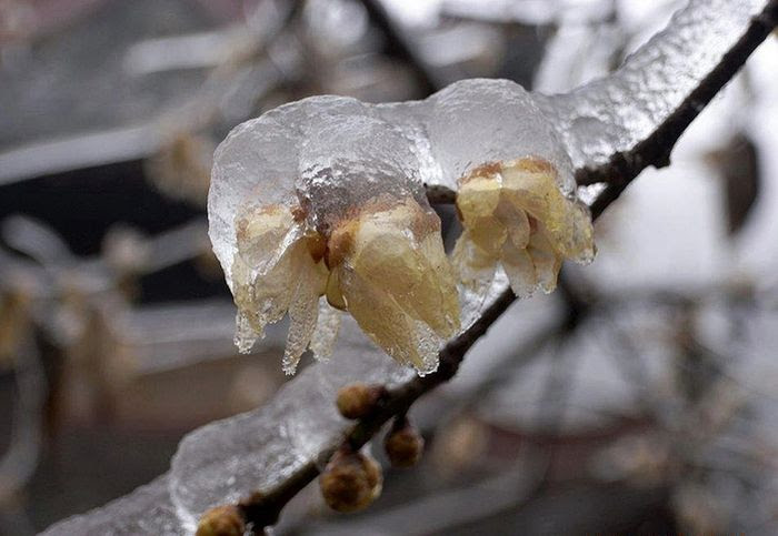 Beautiful Winter Photos (49 pics)