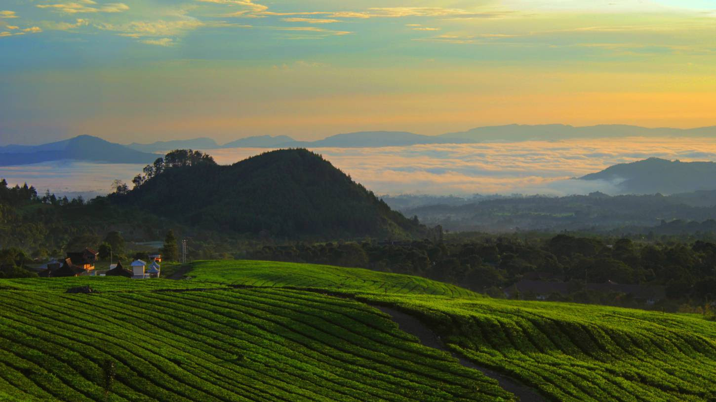 Cheap Flights to Bandung Indonesia 101 59 in 2022 Expedia Cheap Flights to Bandung Indonesia 101 59 in 2022 Expedia