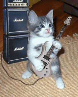 funny gifs