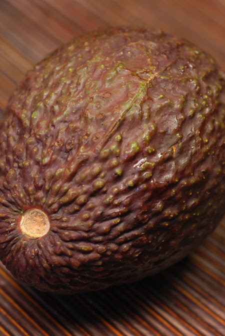 Hass Avocado© by Haalo
