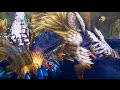 【人気ダウンロード！】 モンハン フロンティア 壁紙 256089