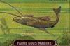 faunesousmarine 11