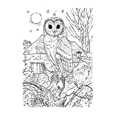 leuk voor kids een uil  het bos