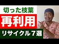 剪定枝 利用 851320