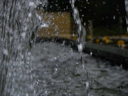 Chicago Botanic Garden - WATER (5)
