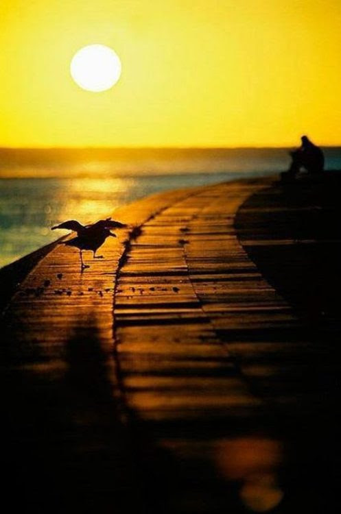 Sunset Borneo, Sabah, Malaysia.
