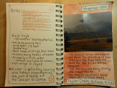 Tahoe Eagle Journal