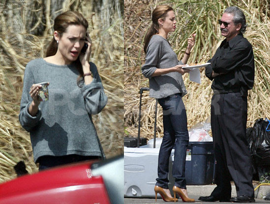 Angelina Jolie's casual straight hairstyle. To get Angie's casual chic look,