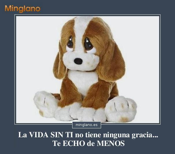 FRASES para DECIR te ECHO de MENOS