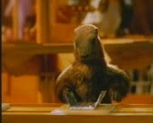 Milka Marmot Unilang