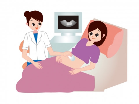 赤ちゃんの性別がわかる時期はいつ 男の子と女の子の特徴 コドモコンパス