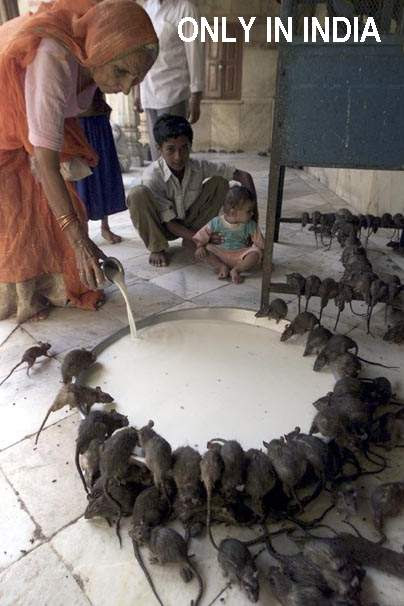 image003