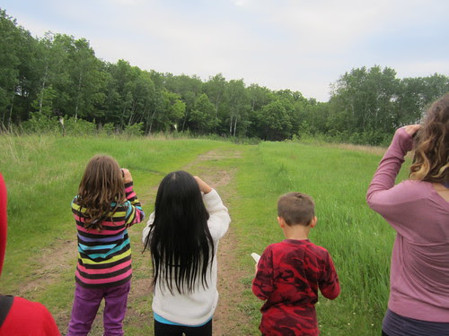Olivia Looking at Bluebirds