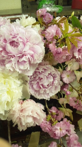 芍薬 サラベル 富士 八 写真共有サイト フォト蔵