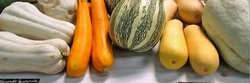 Green Squash Name Download Lyrics Mp3 and Mp4