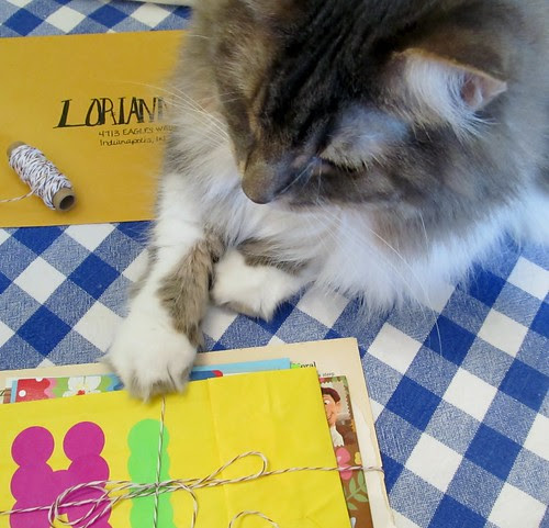 Feline Mail Helper-Miss Kiss