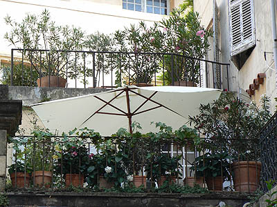 petites terrasses.jpg