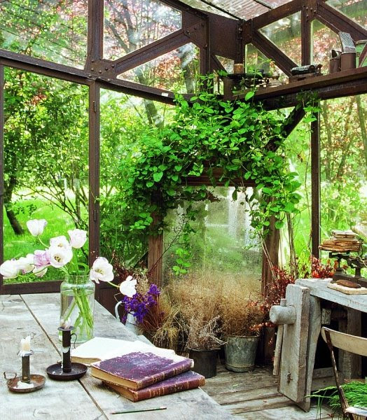 the garden