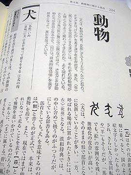 部首ときあかし辞典の使い方