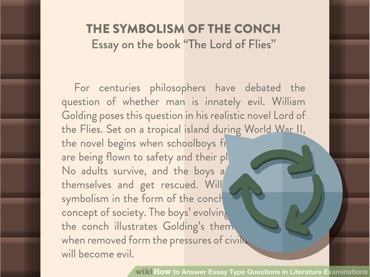 Answer Essay Type Questions in Literature Examinations Step 13.jpg