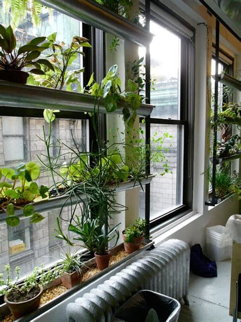 Susette has a lifelong interest and practice with good physical and ment. 10 Impressive Rain Gutter Gardens That Will Make You Say WoW