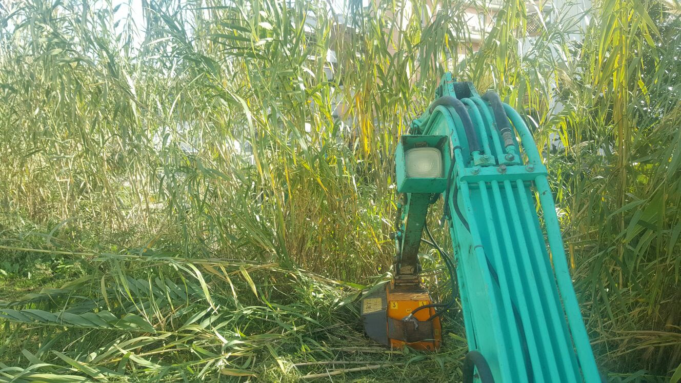 Pulizia Terreni | Agricoli | Lavori | Ditta Tranquilli