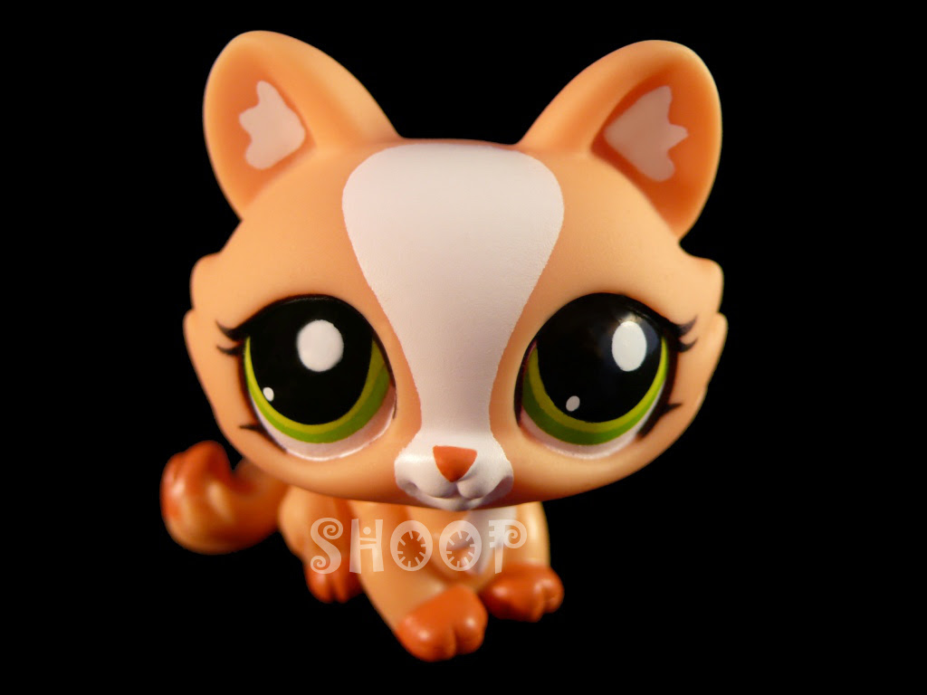 Sphynx Petshop Shoop