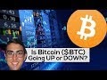 Is Btc Going To Crash : Bitcoin crashes to $8000: Will Bakkt take BTC to a yearly ... - Meanwhile, bearish tweets from crypto enthusiast elon musk were also credited with tanking the crypto complex.