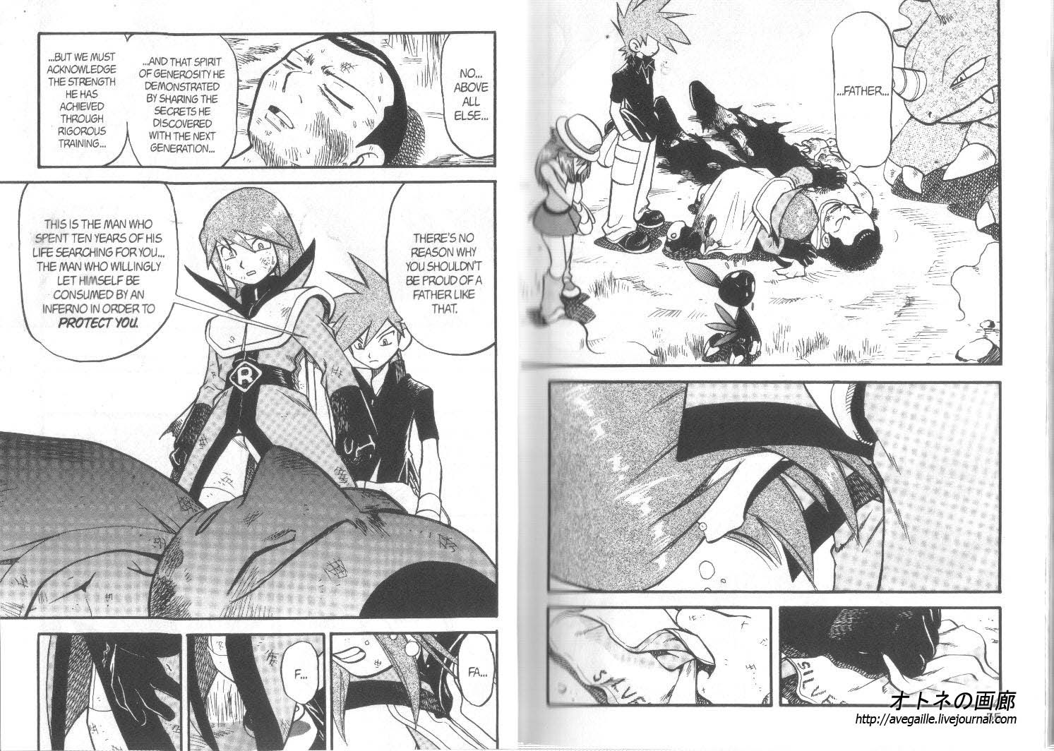 Pokemon Adventures Manga Ruby And Sapphire Images 