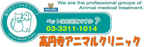 高円寺アニマルクリニック 猫の手帖 ヒモなどを食べてしまう