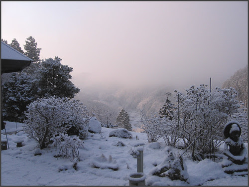 01 pink morning magic