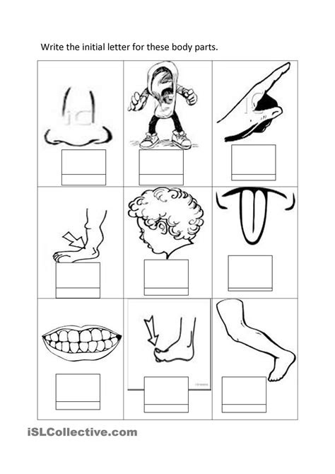  free printable worksheets kindergarten body parts lexias blog