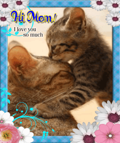 Hi Mom And I Love You So Much Free Say Hi To Mom Day Ecards 123 Greetings