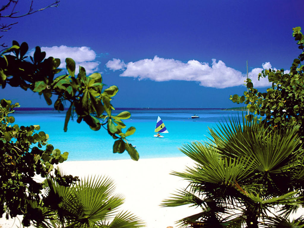http://24.media.tumblr.com/tumblr_lv6dtmNKLH1r67z6fo1_1280.jpg