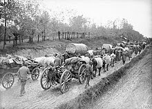A column of horse-drawn wagons makes its way along a dirt road up a hill.